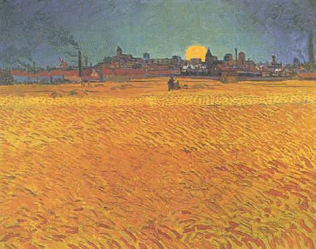 Vincent Van Gogh Sunset : Wheat fields Near Arles Norge oil painting art